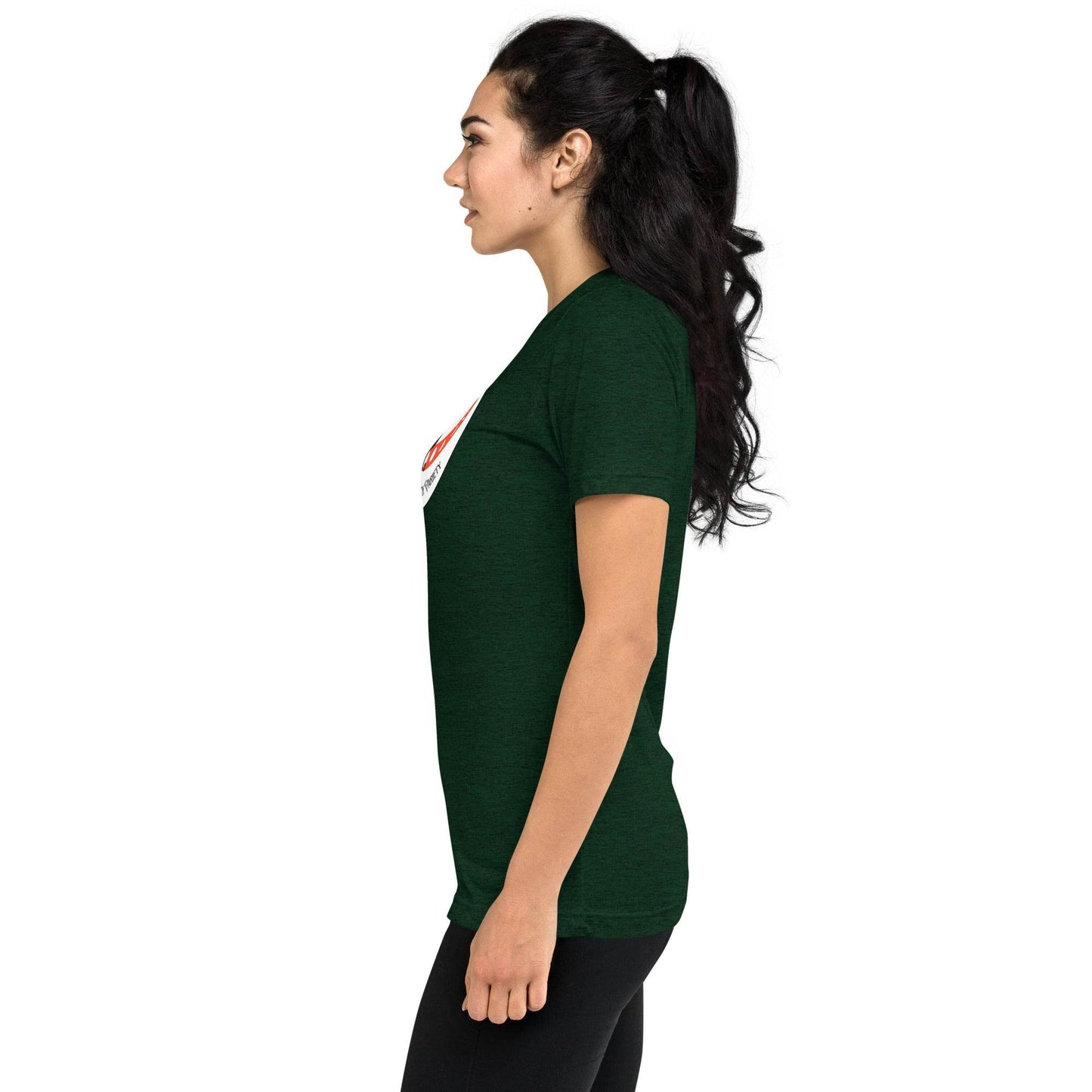 Super Soft Black Cat in Crescent Moon Salem, MA Short Tri-Blend sleeve t-shirt - Winter Island Trading Co.