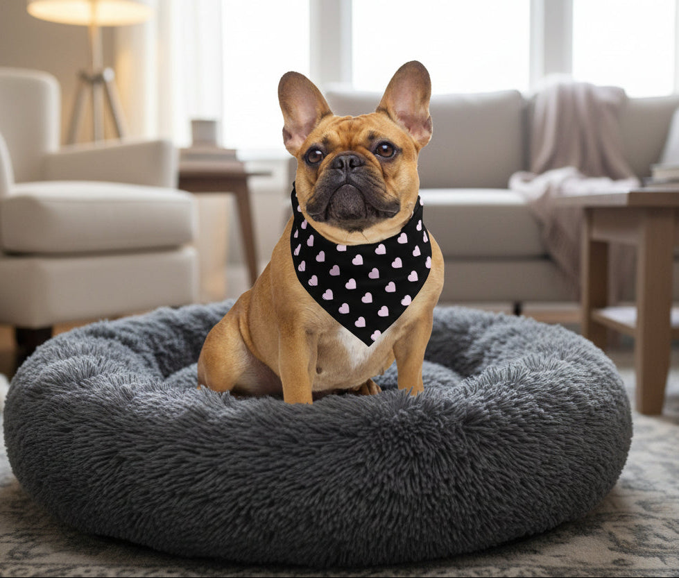 dog wearing a black bandana with pink hearts