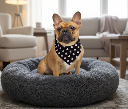dog wearing a black bandana with pink hearts