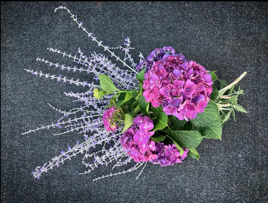 Purple Sage (Russian Blue Variety) 0.25oz Dried