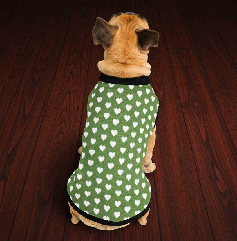 Dog wearing a green sweater with white heart patterns on a wooden floor
