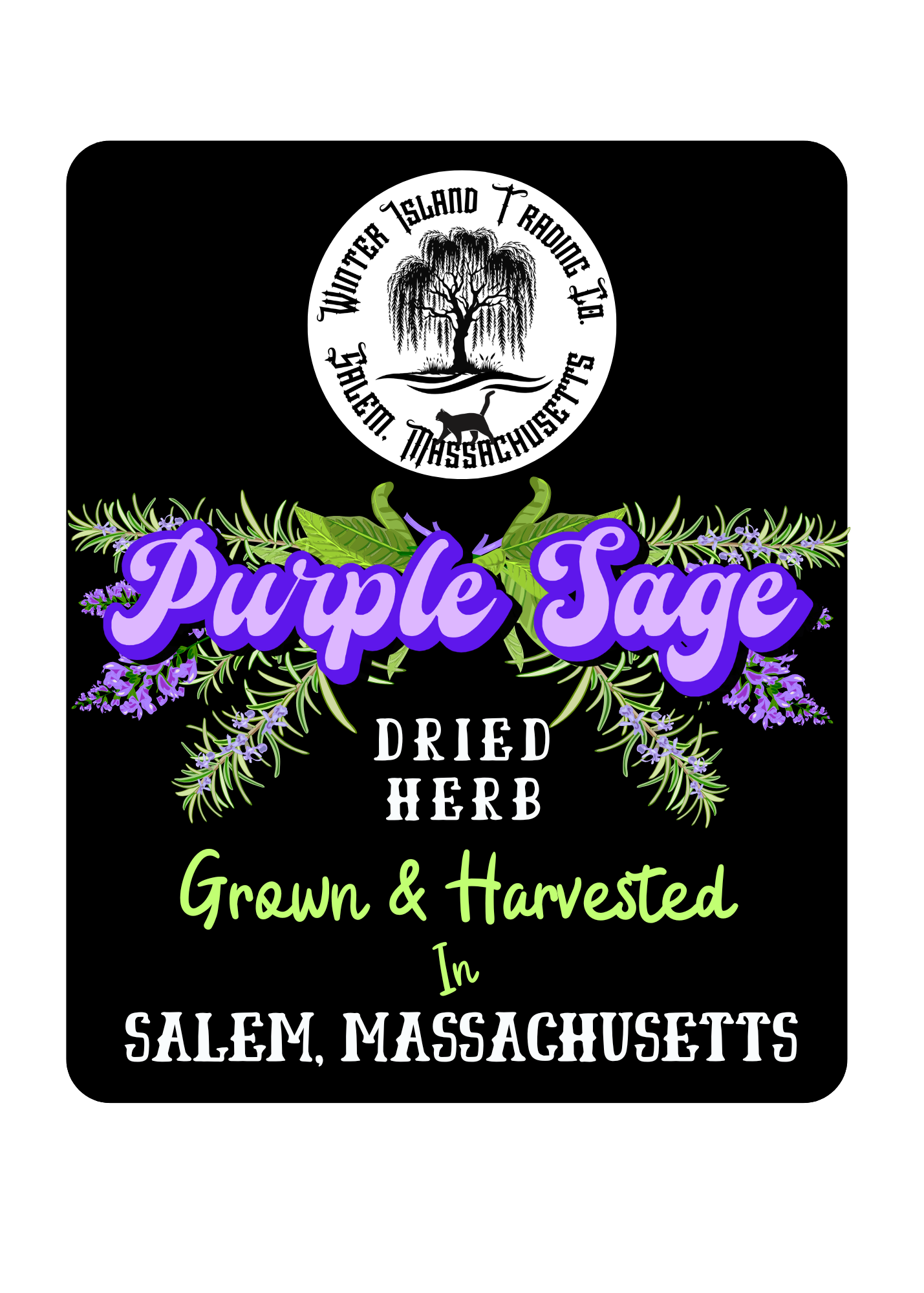 Purple Sage (Russian Blue Variety) 0.25oz Dried